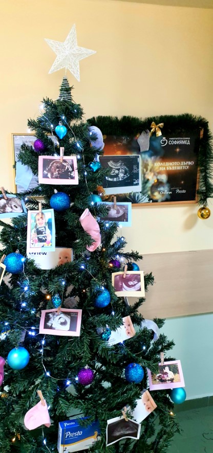 Коледно дърво на Бъдещето засия пред Отделението по акушерство и гинекология в УМБАЛ 