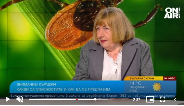 Бум на ухапванията от кърлежи: Не ги вадете сами, следете за симптоми на лаймска болест