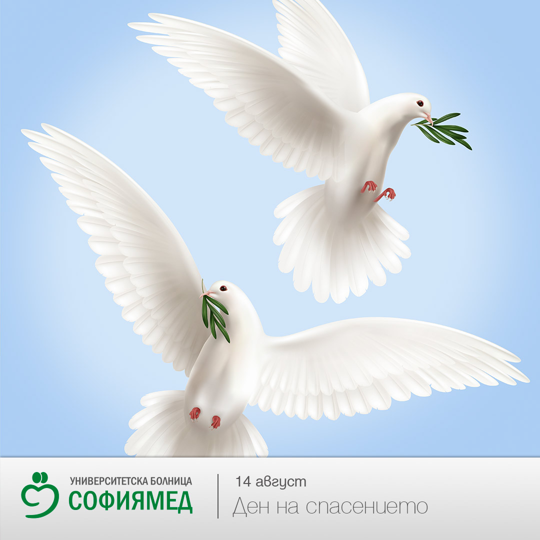 На днешния 15 август отбелязваме Деня на Спасението