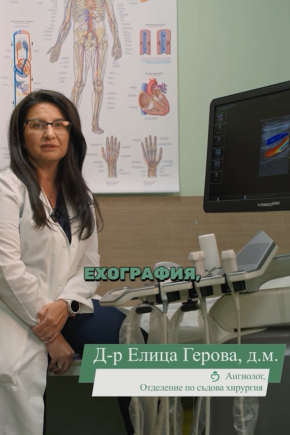 Д-р Елица Герова, д.м., разказва какво представлява еходоплерът и защо е толкова важен за здравето на съдовете ви?