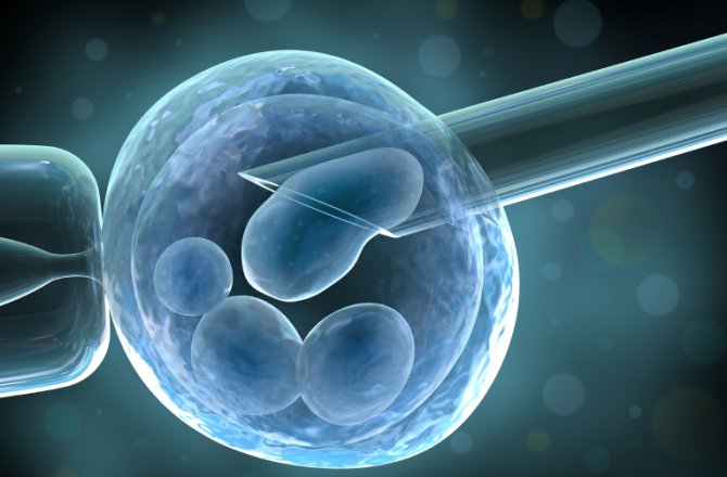 Тема 10:Извличане и съхранение на стволови клетки