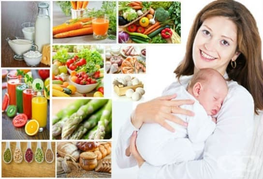 Тема 6:Хранене на майката по време на бременността и кърменето. Хранене и захранване на кърмачето.