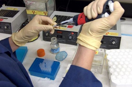 Тема 8:Възможности за съхранение на стволови клетки от пъпна връв